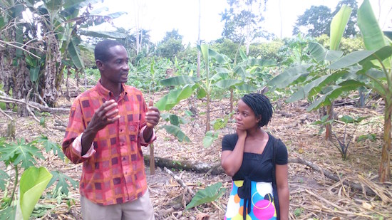 Philomena Entsie ( team member ) with Mr Kusi Agyei ( farm manager and extension officer )